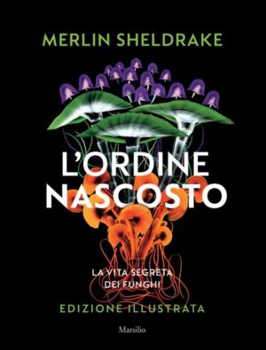 L'ordine nascosto. Ediz. a colori